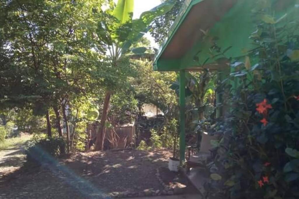 Villa Casa Flor De Annia ~ Cozy 2 Bdrm On The River Sierpe ~ Walkable To Town Extérieur photo