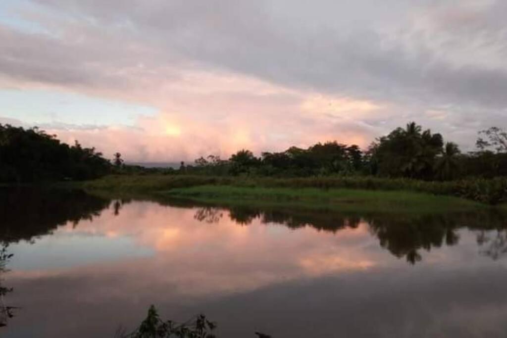 Villa Casa Flor De Annia ~ Cozy 2 Bdrm On The River Sierpe ~ Walkable To Town Extérieur photo