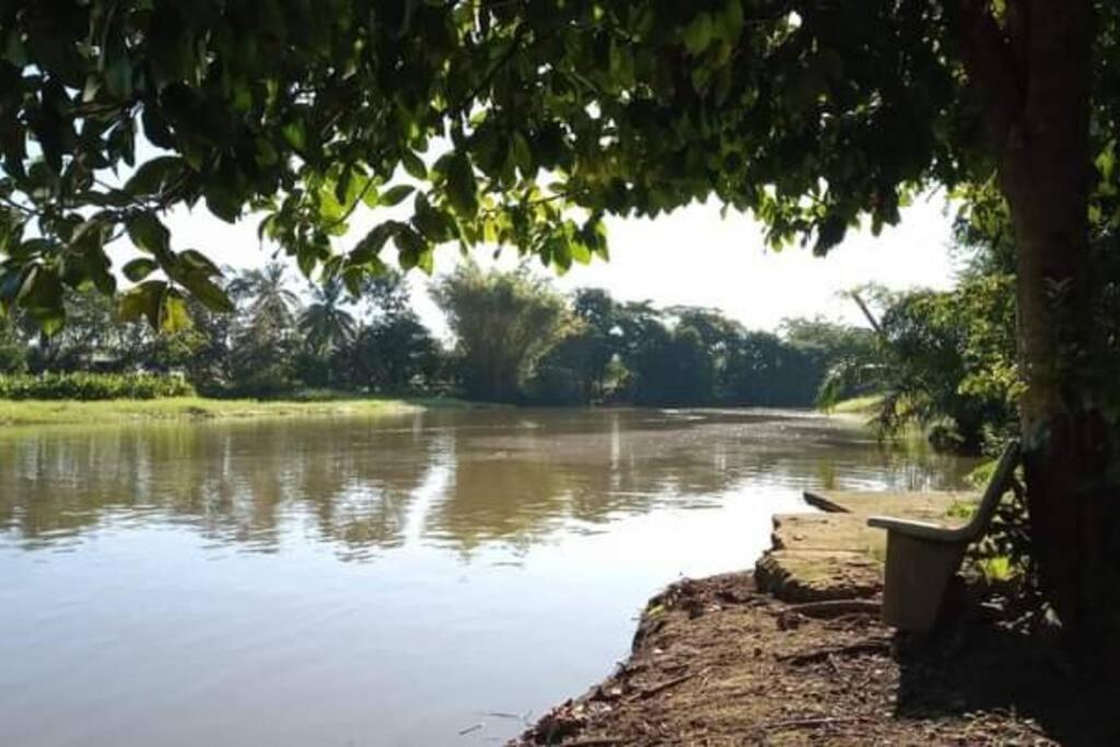 Villa Casa Flor De Annia ~ Cozy 2 Bdrm On The River Sierpe ~ Walkable To Town Extérieur photo