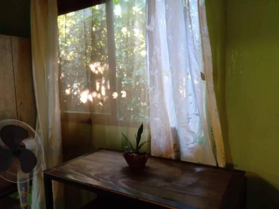 Villa Casa Flor De Annia ~ Cozy 2 Bdrm On The River Sierpe ~ Walkable To Town Extérieur photo
