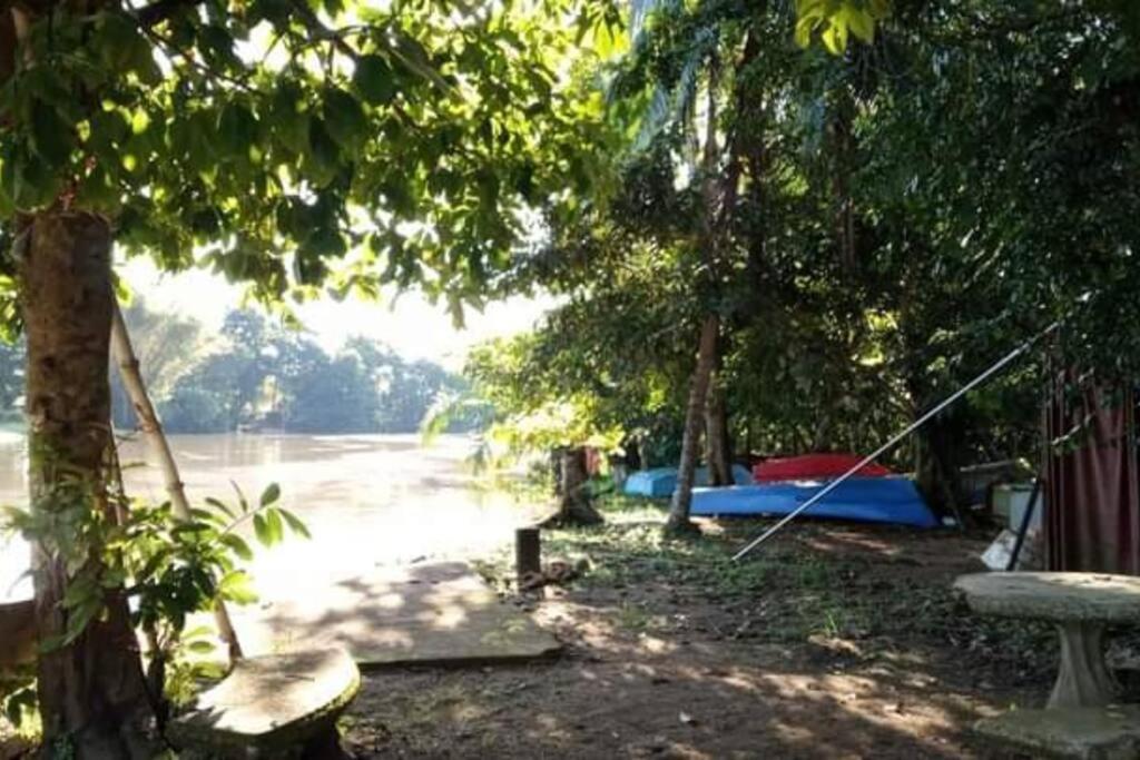 Villa Casa Flor De Annia ~ Cozy 2 Bdrm On The River Sierpe ~ Walkable To Town Extérieur photo